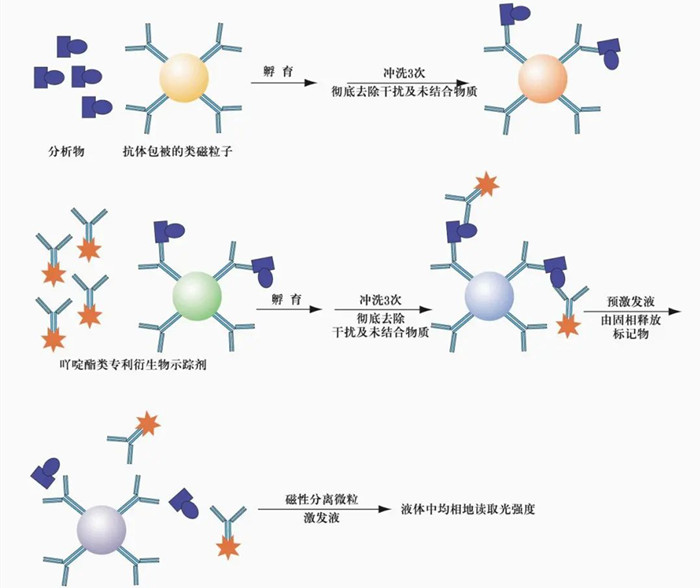 化学发光检测仪的工作流程